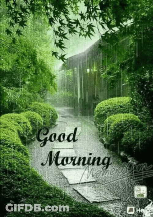 Rainy Good Morning In Zen Garden GIF