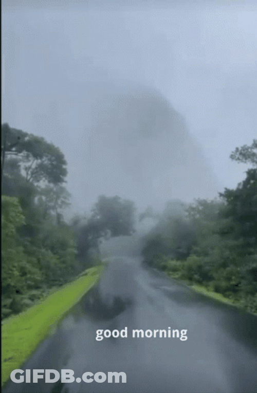 Rainy Good Morning Long Drive GIF