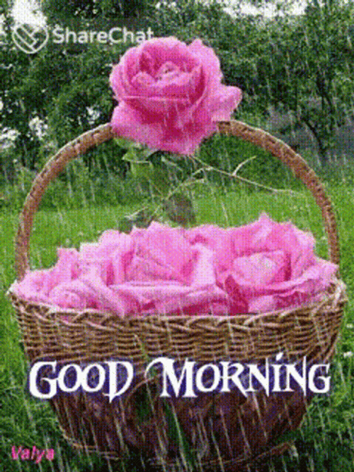 Rainy Good Morning Pink Flowers GIF