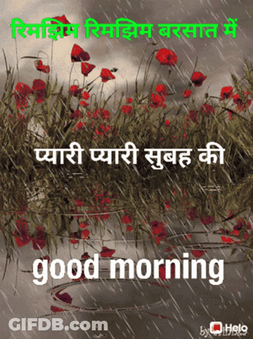 Rainy Good Morning With Red Flowers GIF