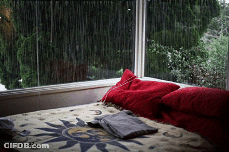 Rainy Night Cozy Scene Outside GIF