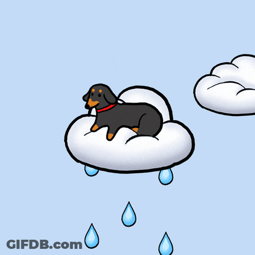 Rainy Night Dog On A Cloud GIF