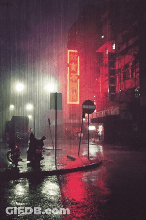 Rainy Night In China GIF