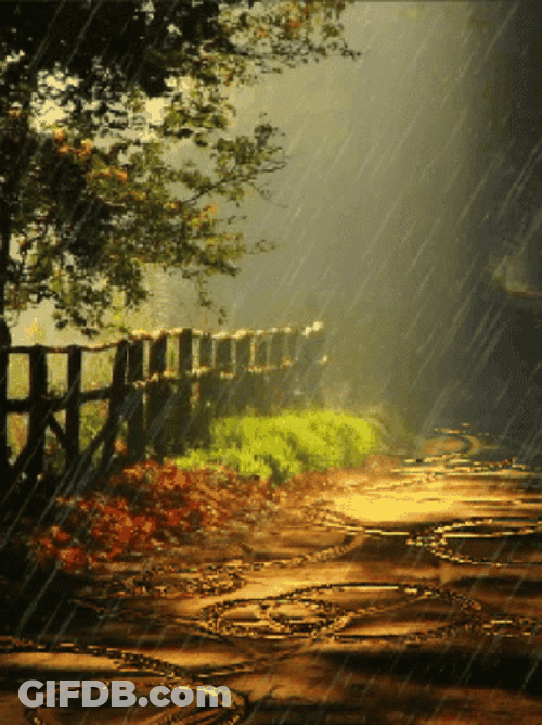 Rainy Night Rain Fall Drops GIF