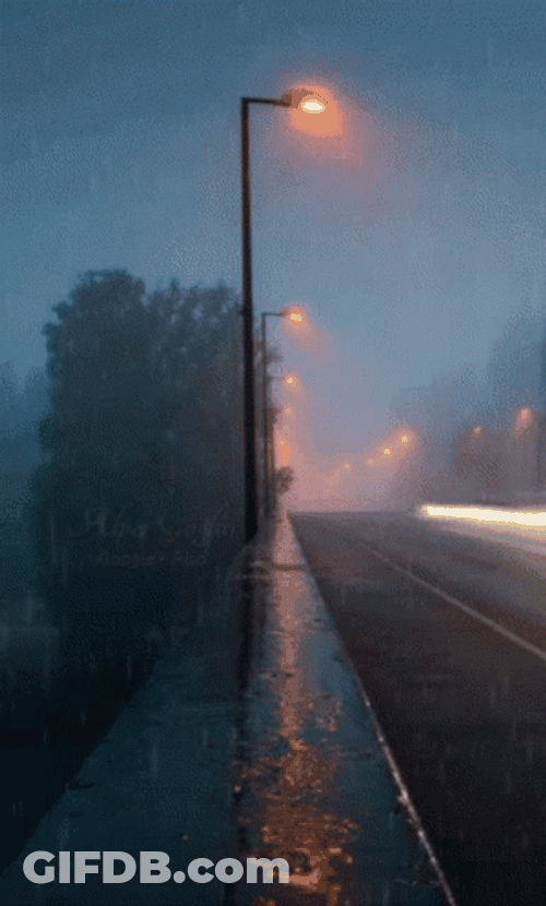 Rainy Night Street Lights GIF
