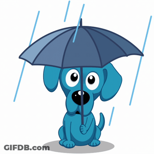 Rainy Saturday Cute Blue Dog GIF