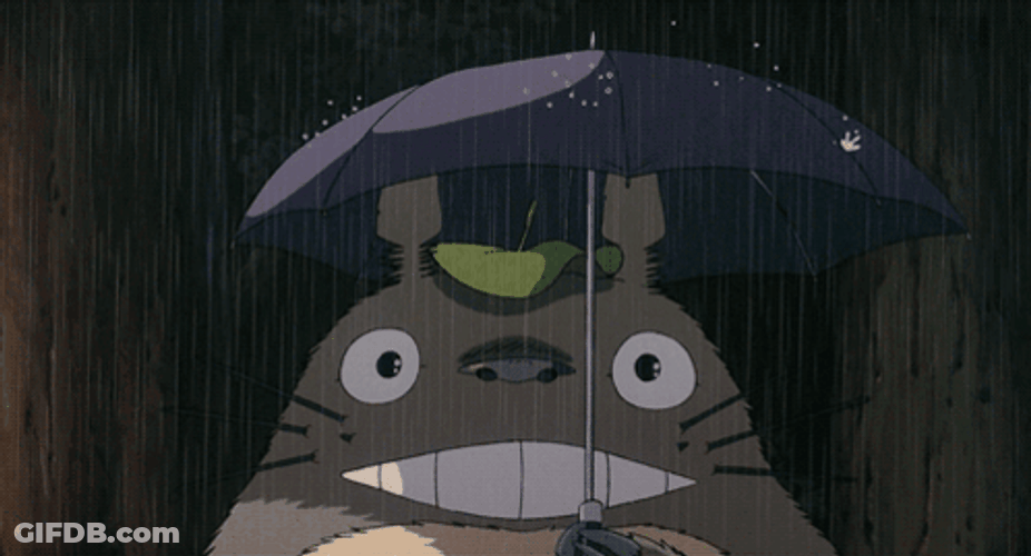 Rainy Saturday Totoro Anime GIF