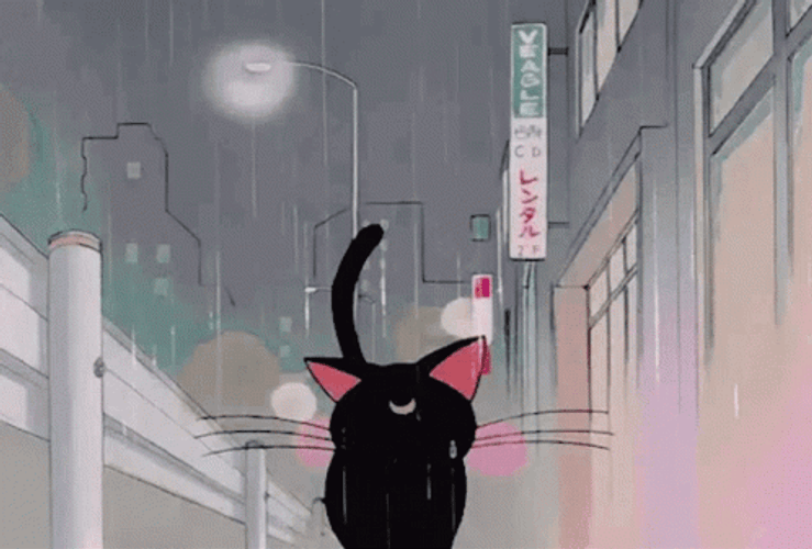 Rainy Wednesday Sailor Moon Cat Luna GIF