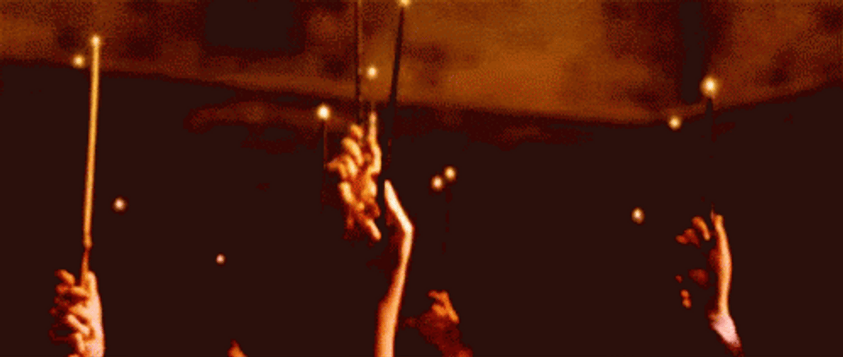 Raise It Harry Potter Wands GIF