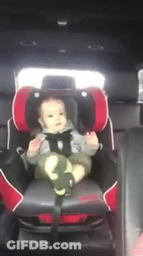 Raise The Roof Car Baby GIF