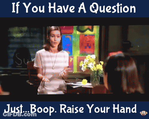 Raise Your Hand If You Have A Question GIF