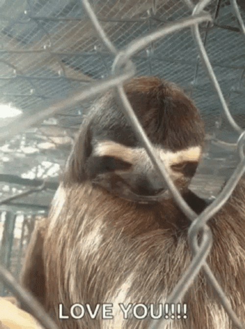 Raising Eye Brows Funny I Love You GIF