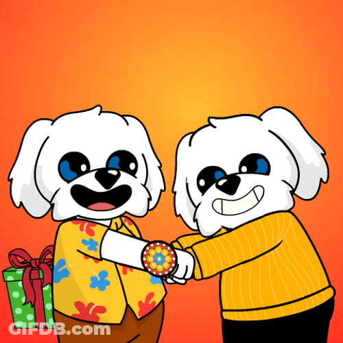 Rakhi Special Gift From Sibling GIF