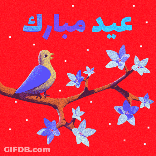 Ramadan Mubarak Bird And Spinning Flower Animation GIF