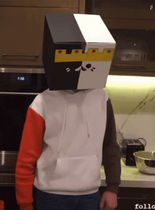 Ranboo Cuptoast Dancing GIF