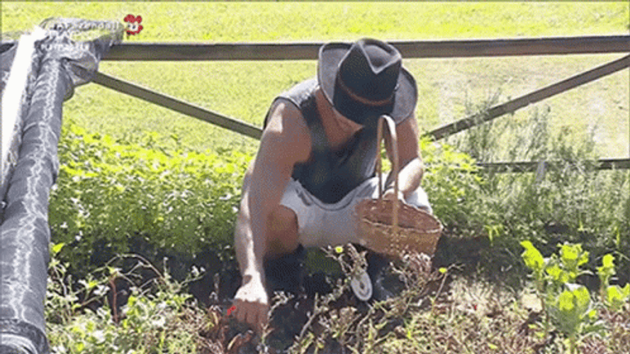 Ranch Man Gardening Plants GIF