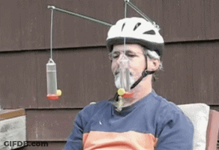Random Cage Helmet Hummingbird GIF