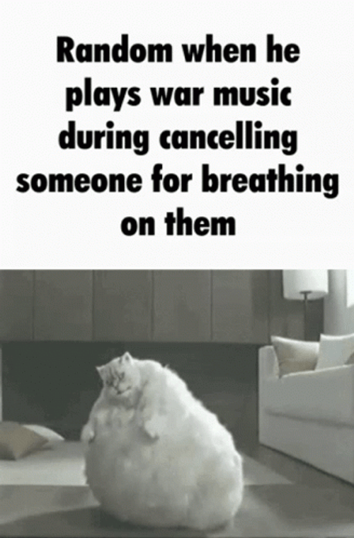 Random Cat War Music Meme GIF