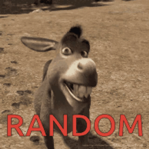 Random Funny Donkey Shrek Meme GIF