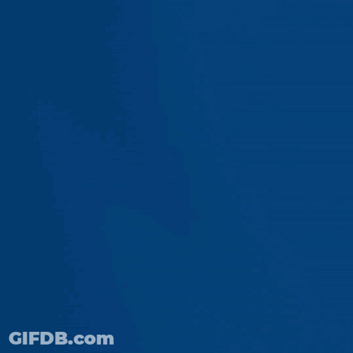 Randy Arozarena Devil Rays GIF