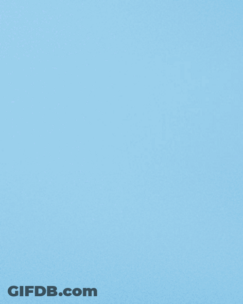 Randy Arozarena Rays Wins GIF