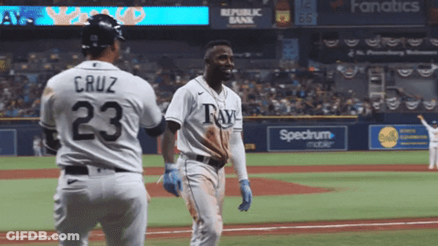 Randy Arozarena Trip GIF