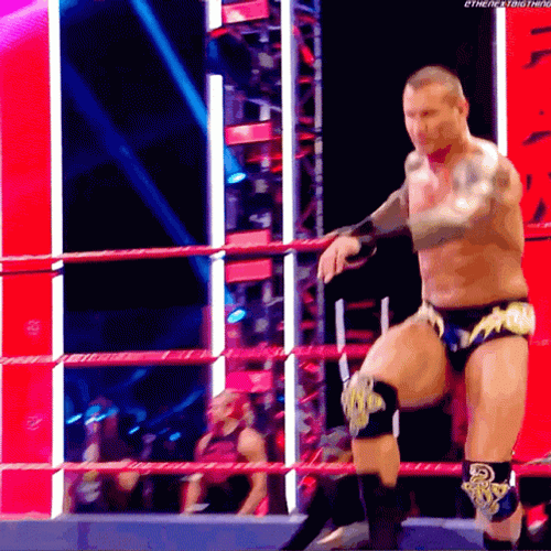Randy Orton Punt WWE GIF