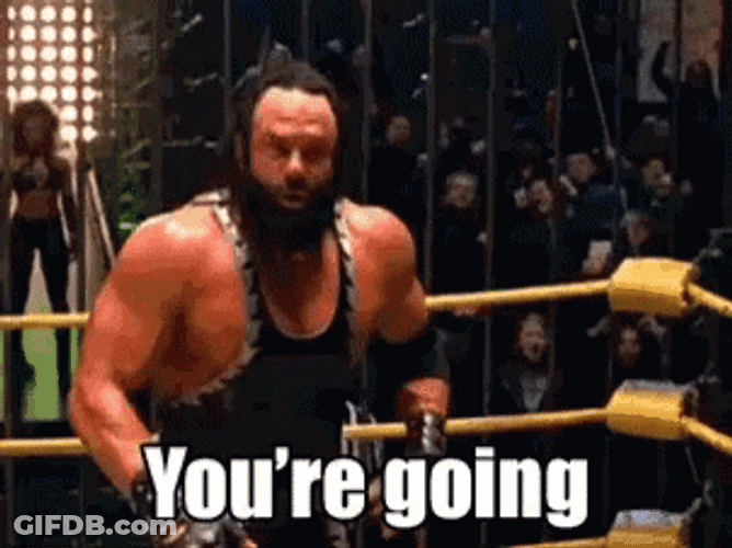 Randy Savage Got 3 Minutes Playtime GIF