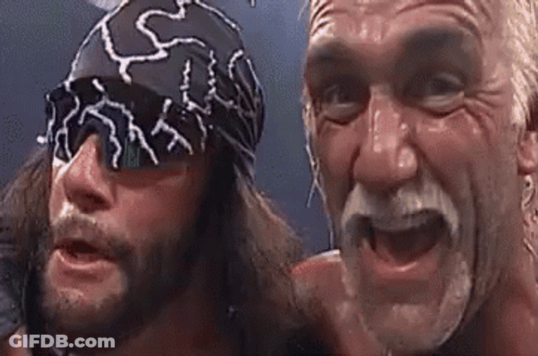 Randy Savage Hulk Hogan That Was Sweet GIF