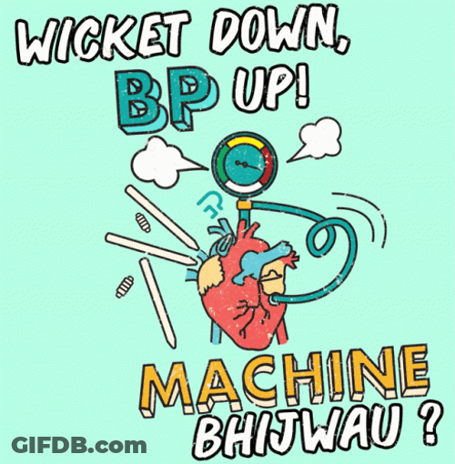 Rapid Animation Wicket Down High Blood Pressure GIF