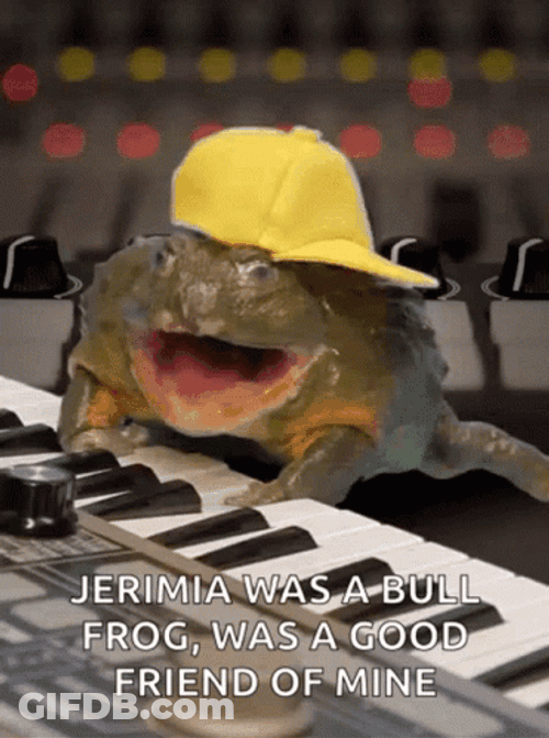 Rapper Frog Playing Piano GIF