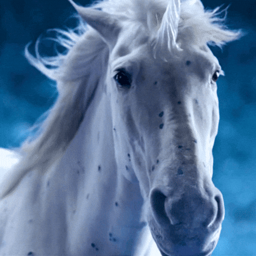 Rare Stud Ice Unicorn GIF