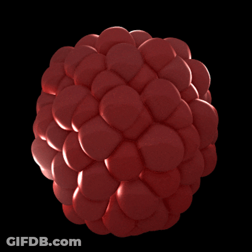 Raspberry 3D Loop Art GIF