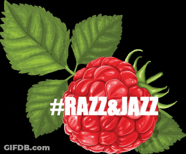 Raspberry Plastic Art Design GIF