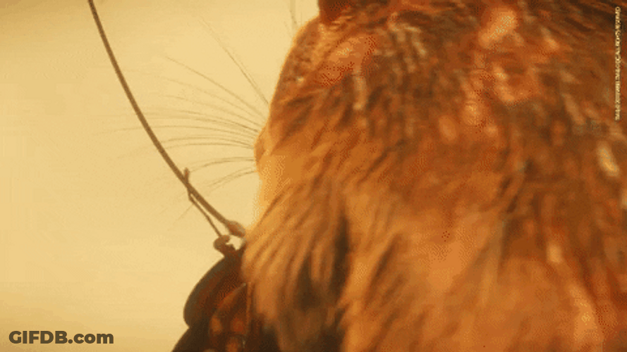 Rat And Roach GIF