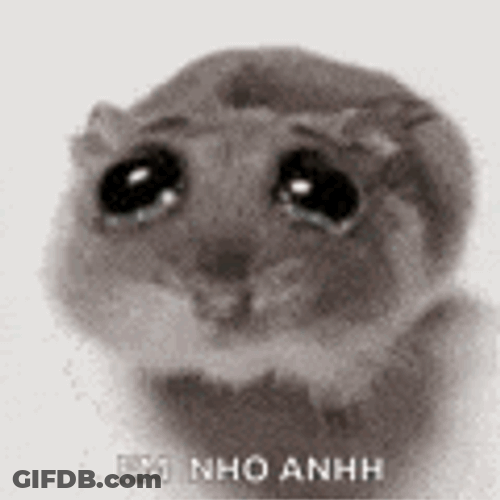 Rat Cute Cry GIF