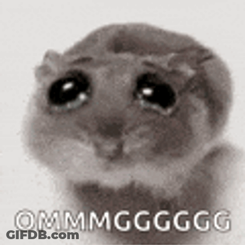 Rat Cute Cry GIF