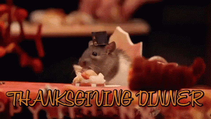 Rat Cute Thanksgiving Dinner GIF