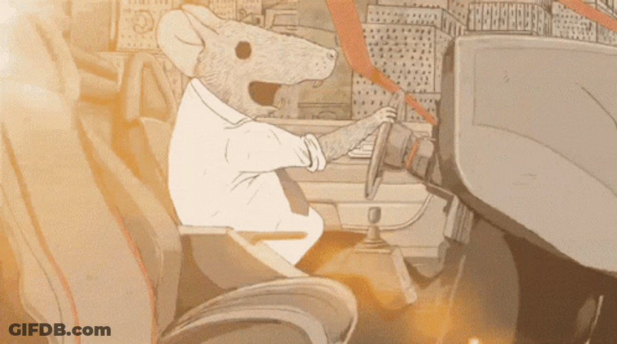 Rat Driving Red Car Meme GIF