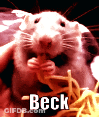 Rat Eating Noodles Beck GIF