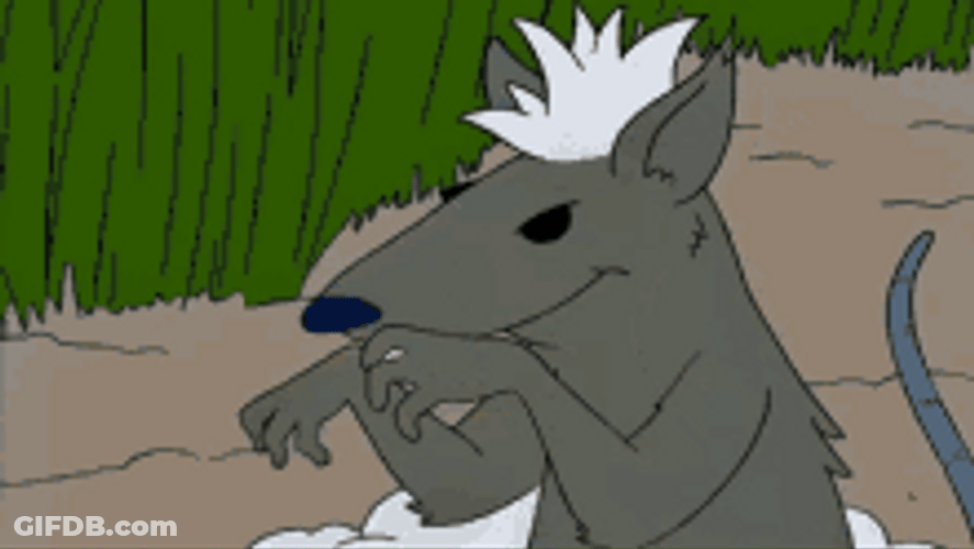 Rat Hand Comb Hair GIF