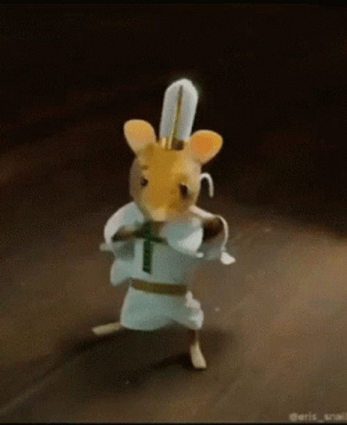 Rat Having A Disco Dance Meme GIF