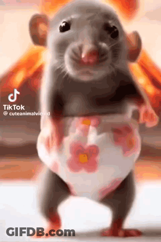 Rat In Diaper Standing GIF