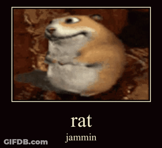 Rat Jammin On Herself Meme GIF