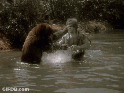 Rat Pack Is Back David Cassidy Lvwos GIF