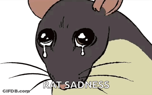 Rat Sadness GIF