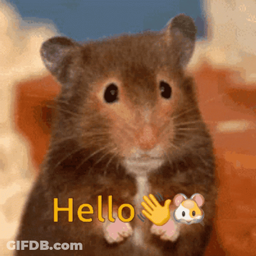 Rat Saying Hello Meme GIF