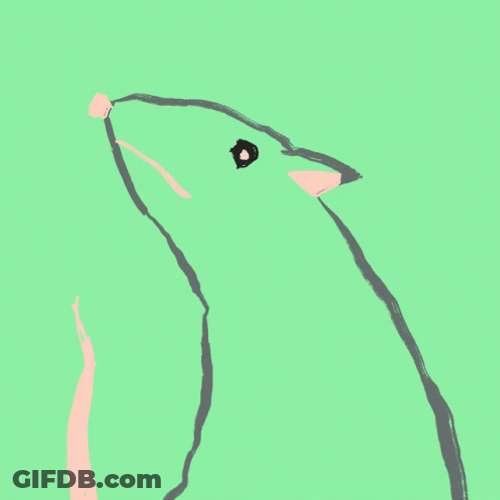 Rat Shaped Dancing Meme GIF