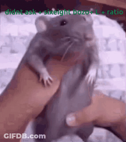 Rat Showering Dancing GIF