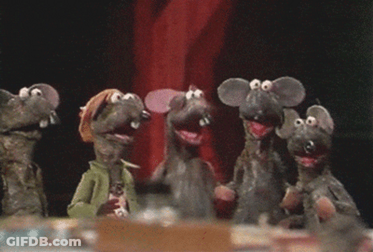 Rat Showering Great Muppets GIF